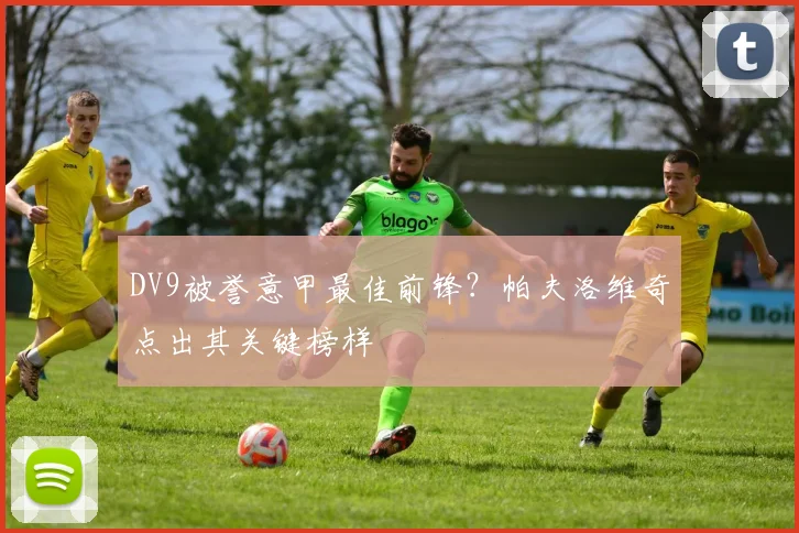 DV9被誉意甲最佳前锋？帕夫洛维奇点出其关键榜样