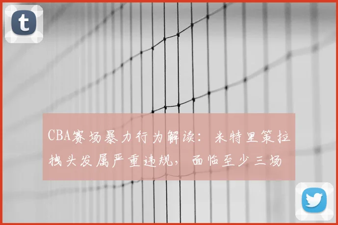 CBA赛场暴力行为解读：米特里策拉拽头发属严重违规，面临至少三场追加停赛处罚